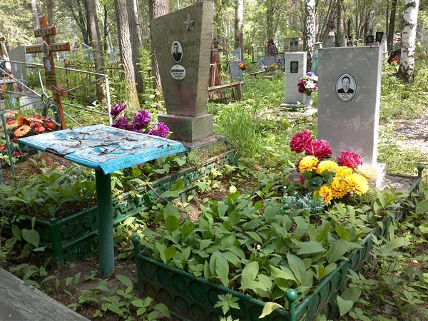 Дресвянкина Анна Ивановна