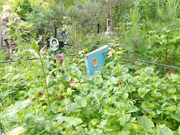 Пепелышко Николай Павлович