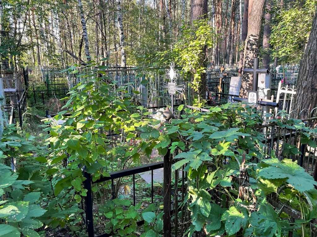 Бледных Владимир Васильевич