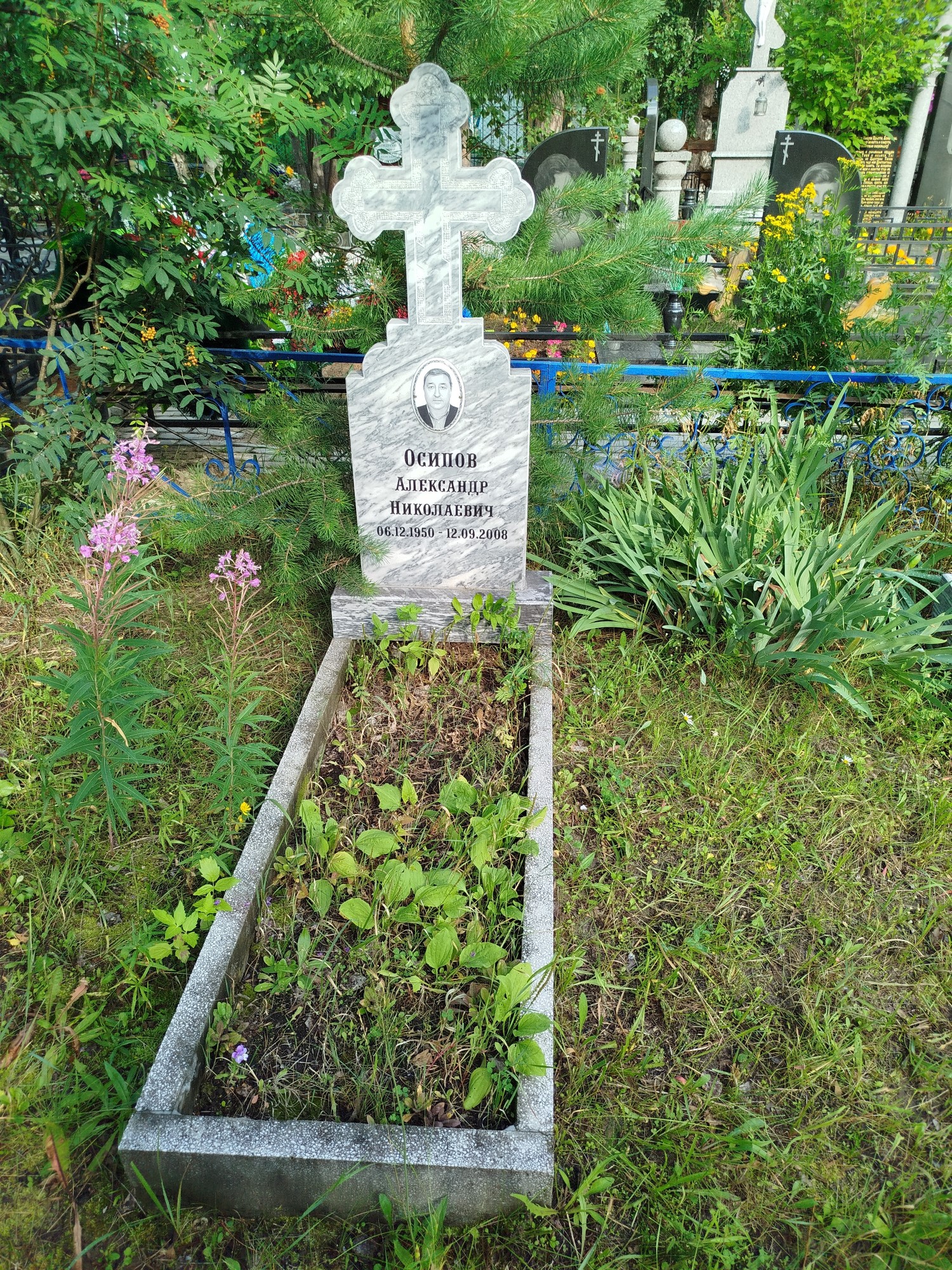 Осипов Александр Николаевич