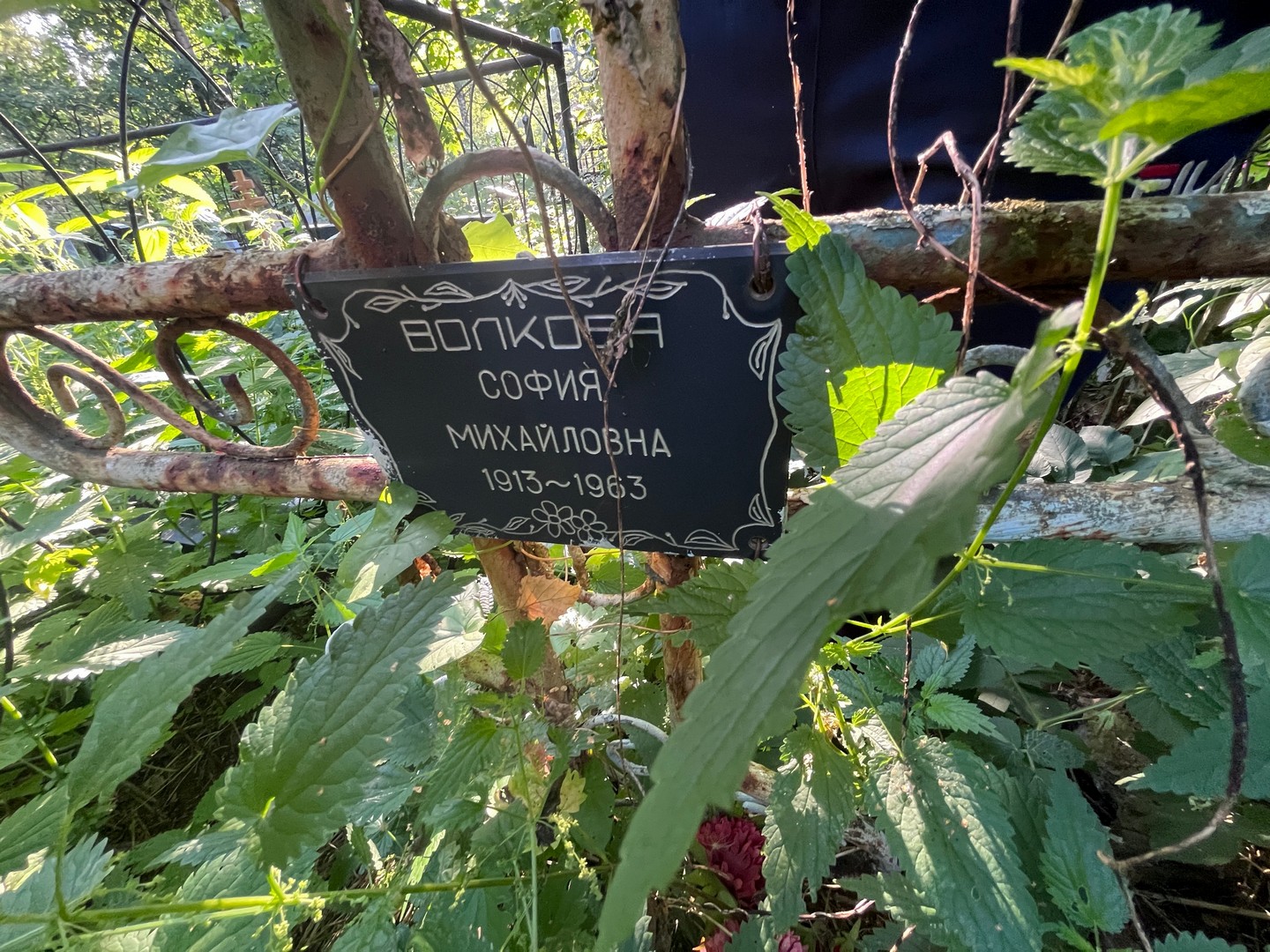 София Волкова Михайловна