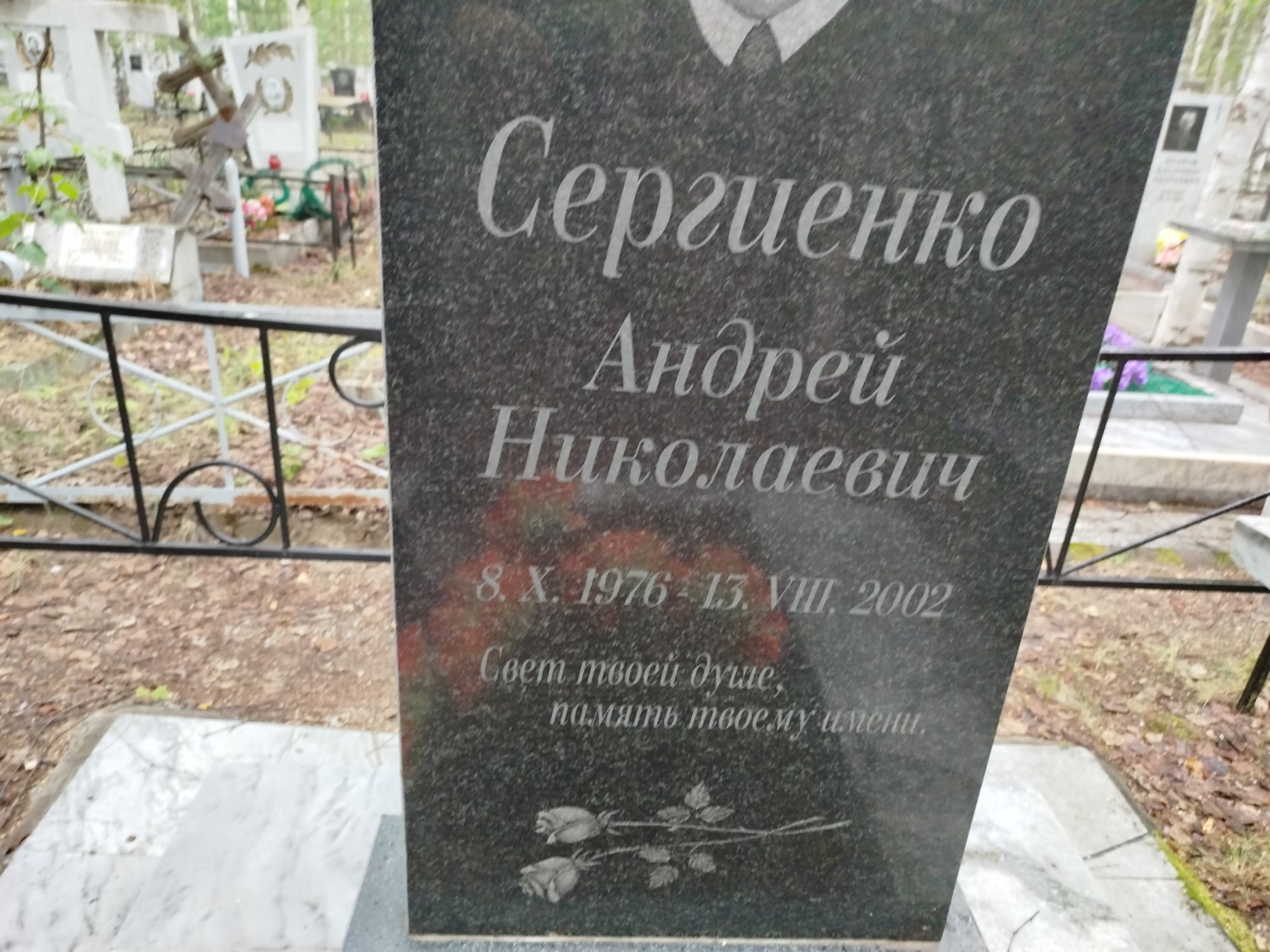 Сергиенко Андрей Николаевич