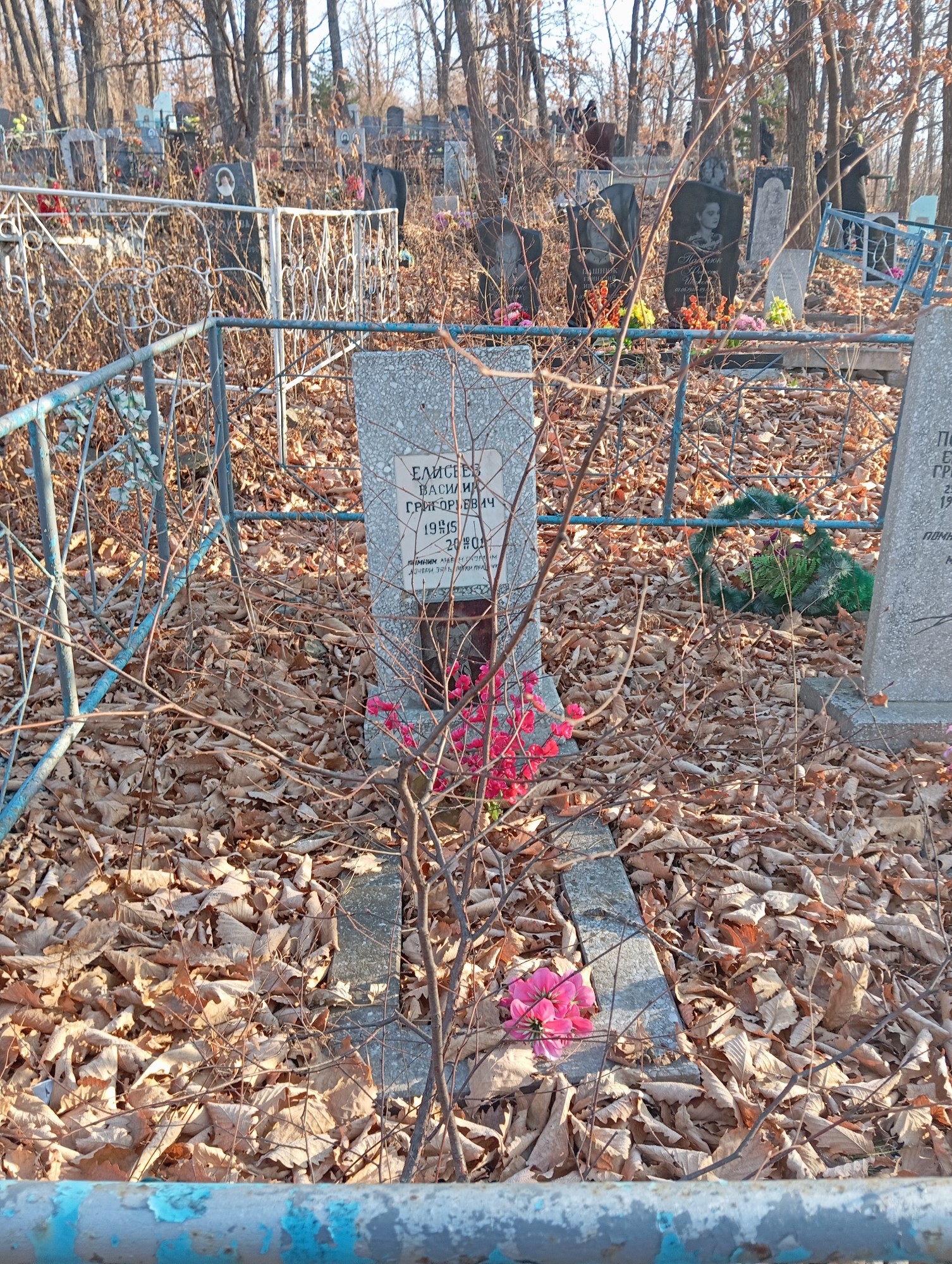 Елисеев Василий Григорьевич
