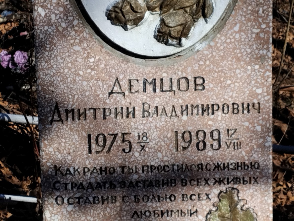 Демцов Дмитрий Владимирович