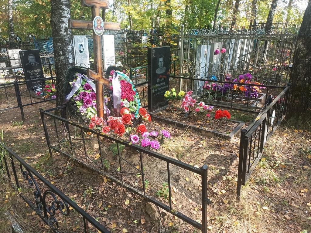 Ильин Владимир Константинович