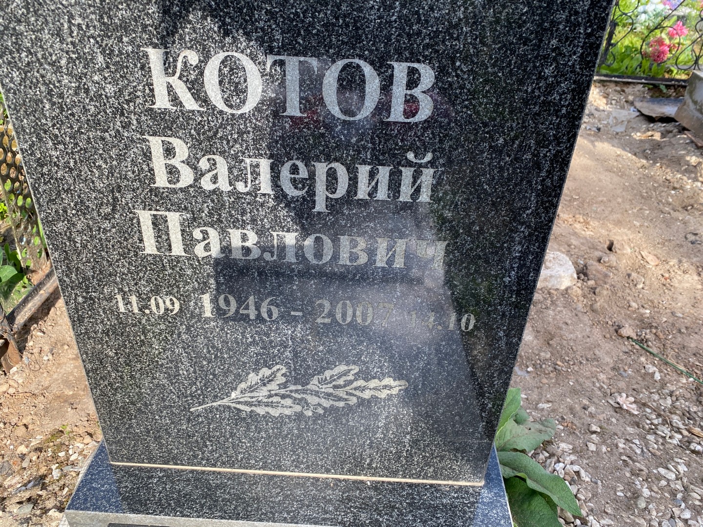 Котов