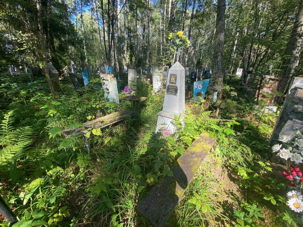 Шехонова Устинья Николаевна