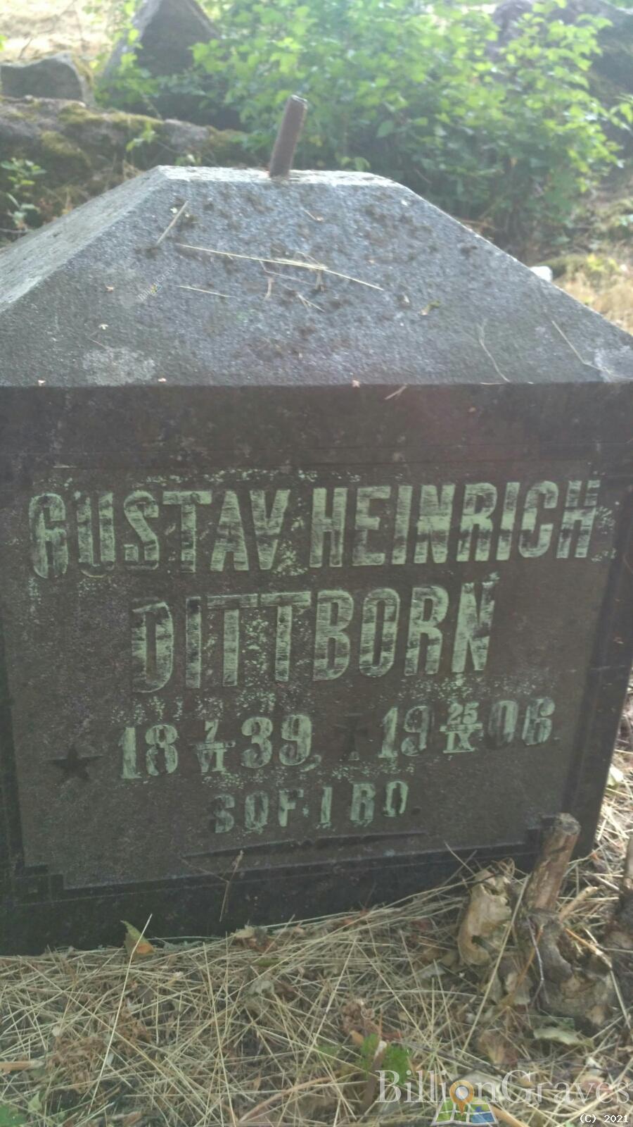 Dittborn Gustav Heinrich