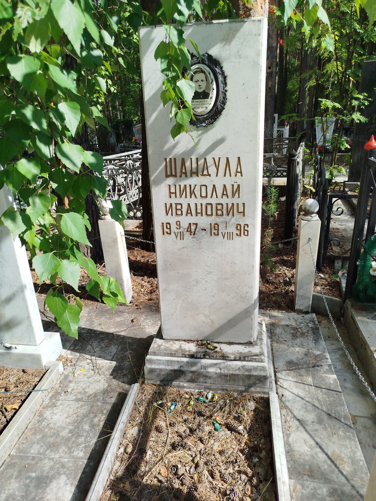 Шандула Николай Иванович