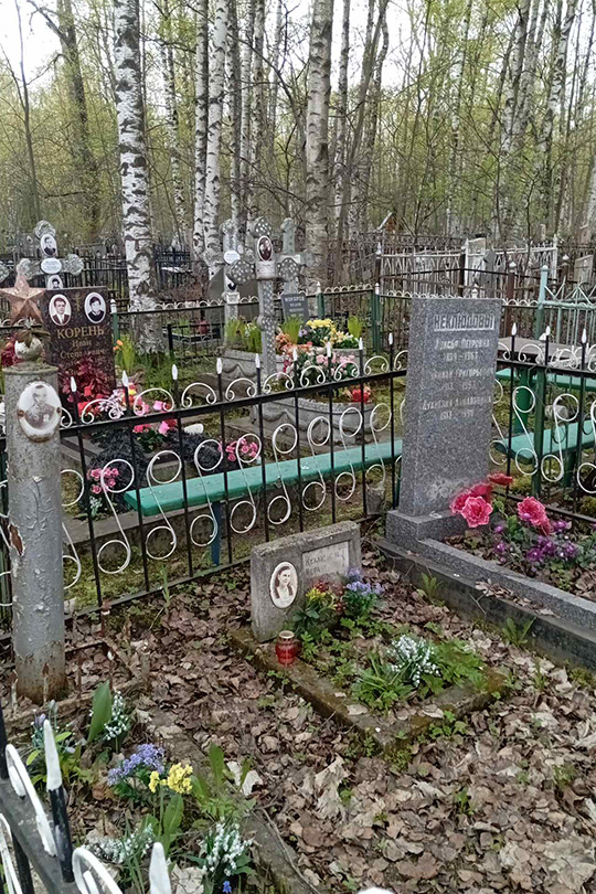 Неклюдов Николай Григорьевич
