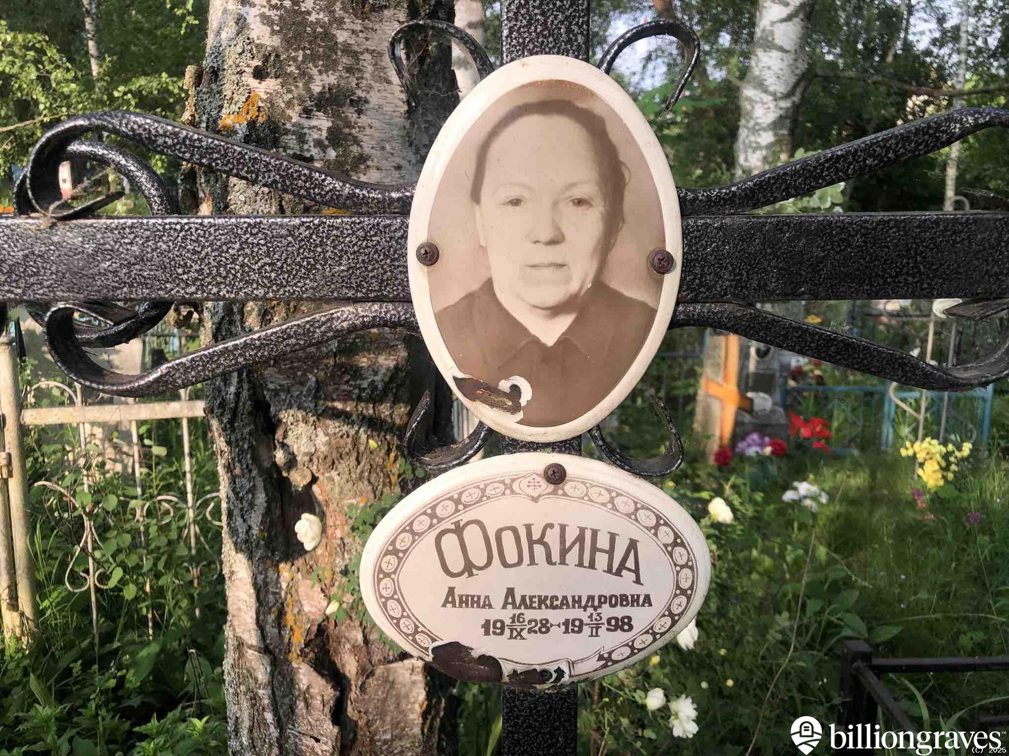Фокина Анна Александровна