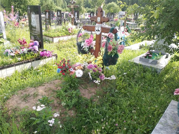 Дронов Денис Вадимович