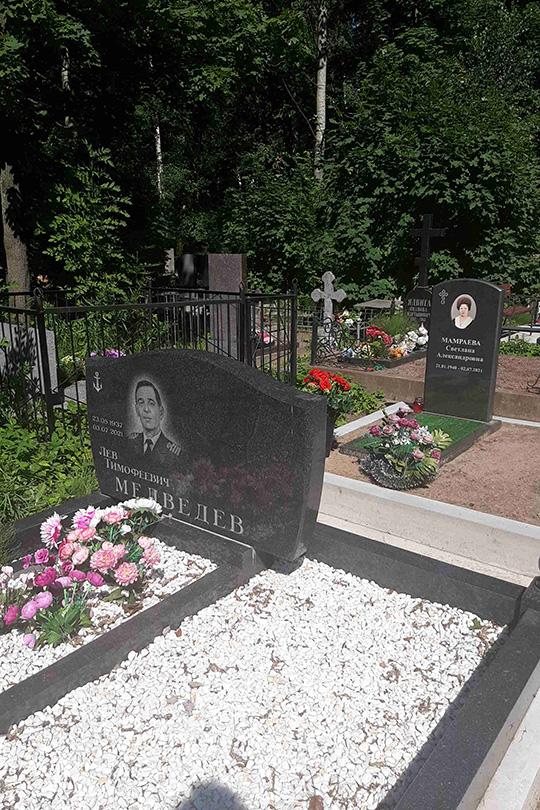 Медведев Лев Тимофеевич
