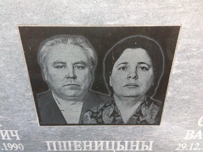 Пшеницын
