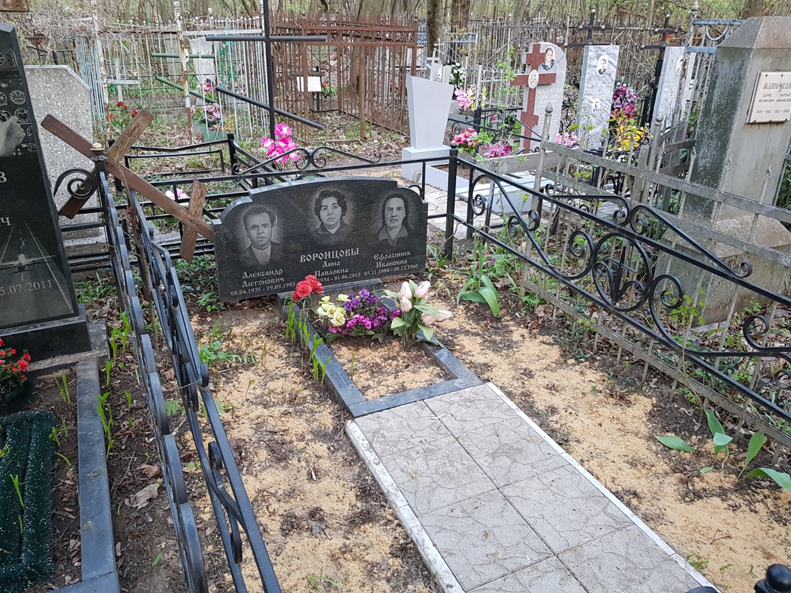 Воронцов Александр Антонович