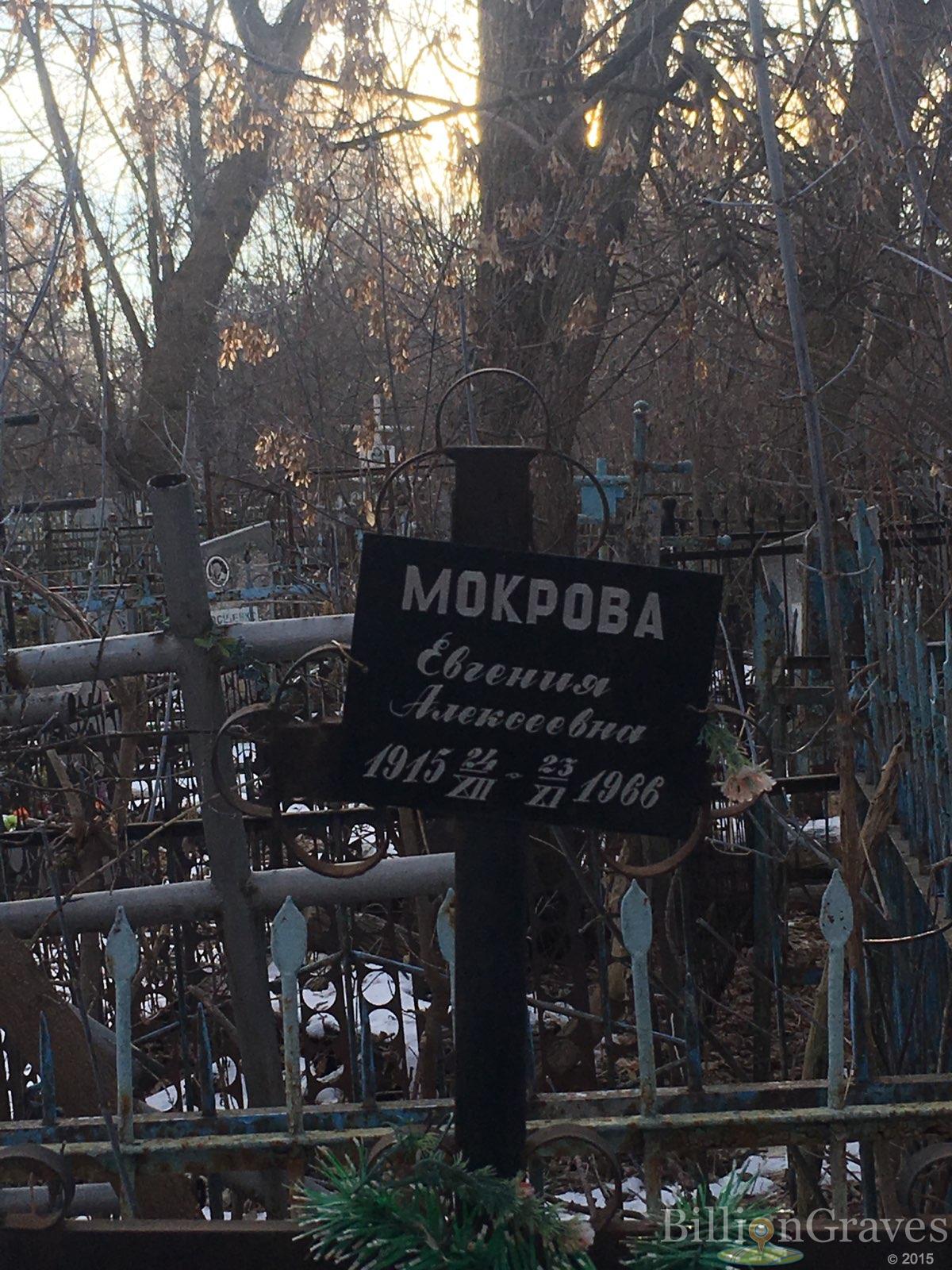 Мокрова евгения алексеевна