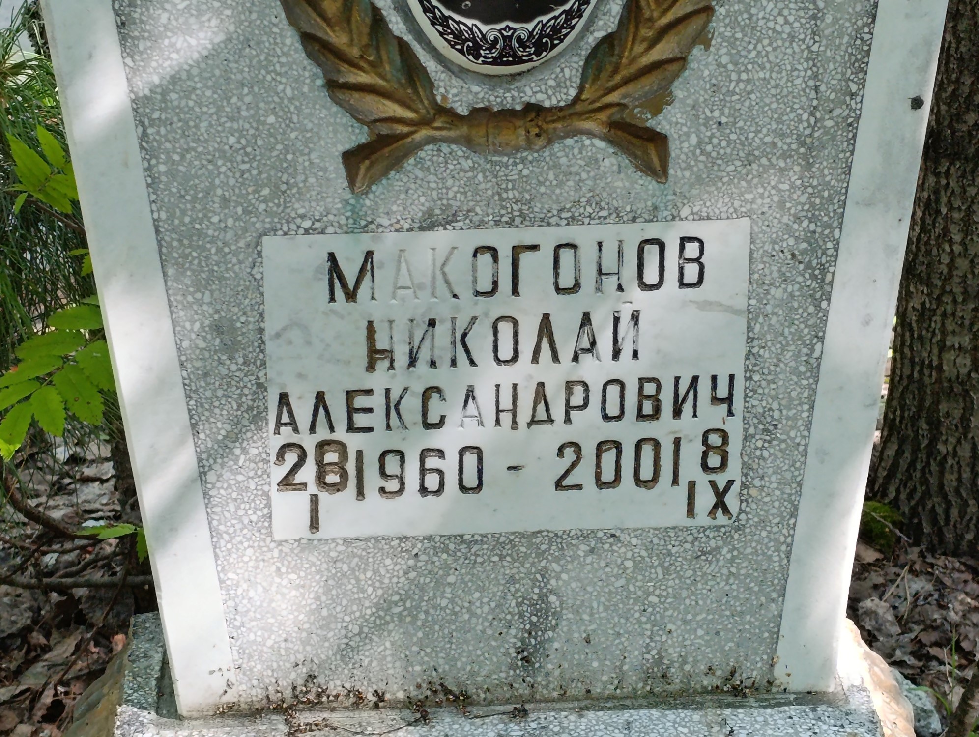 Макогонов Николай Александрович