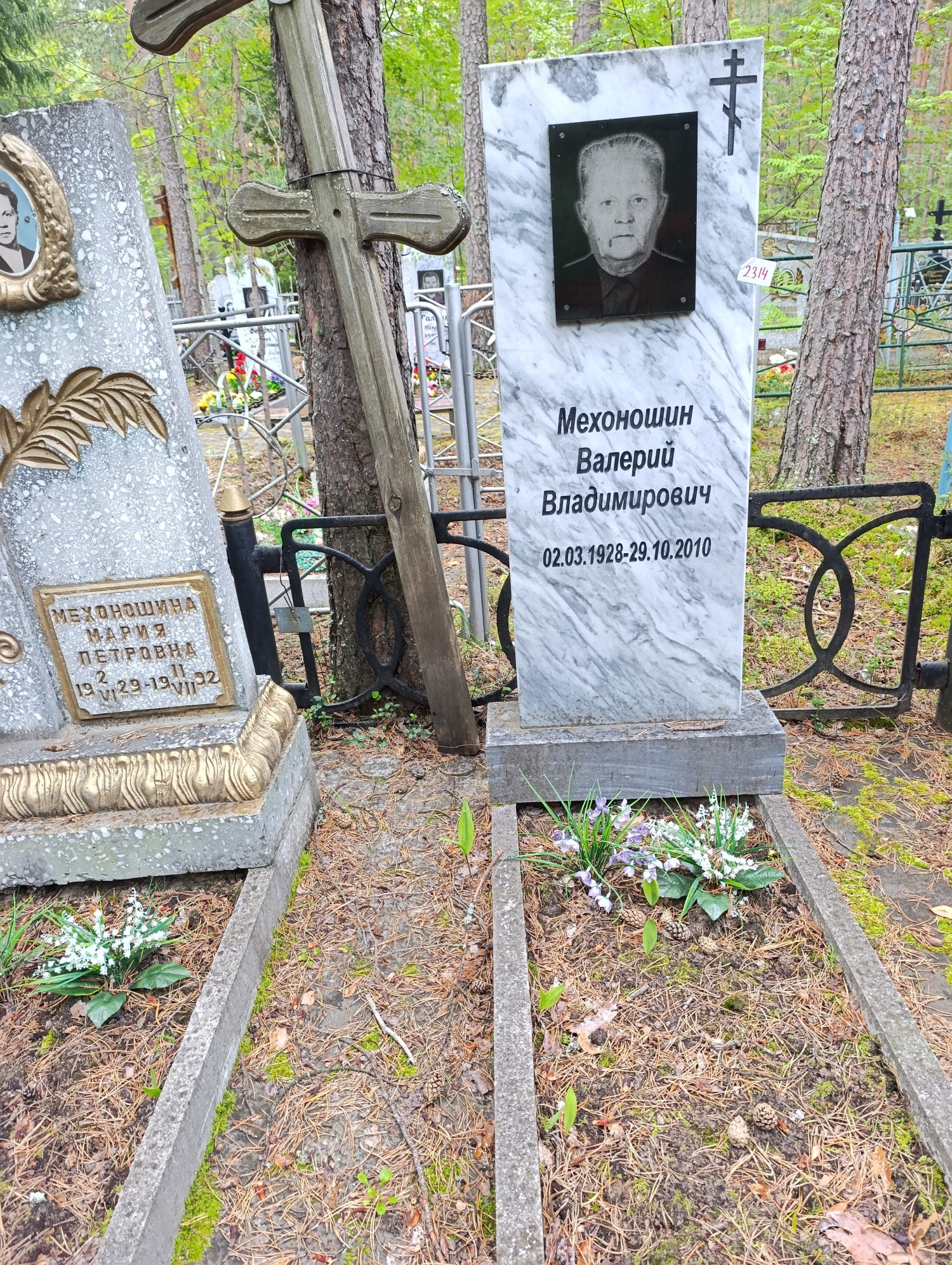 Мехоношин Валерий Владимирович
