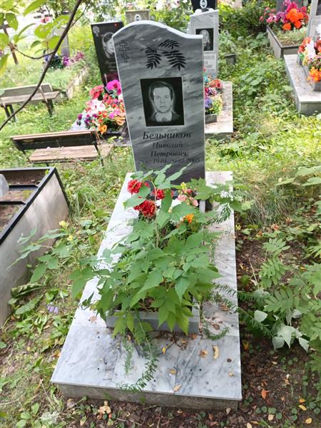 Бельников Николай Петрович