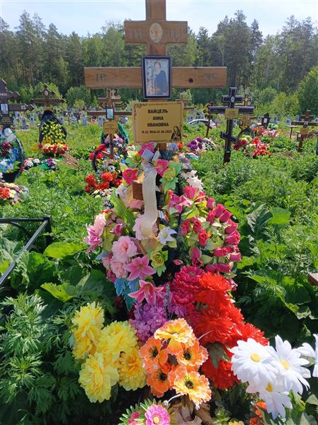 Вайцель Анна Ивановна