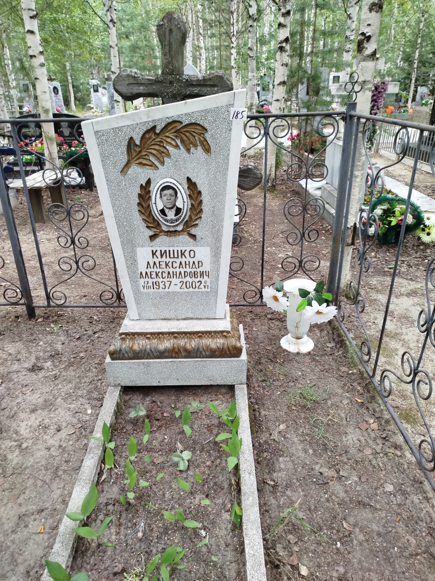 Кишко Александр Александрович