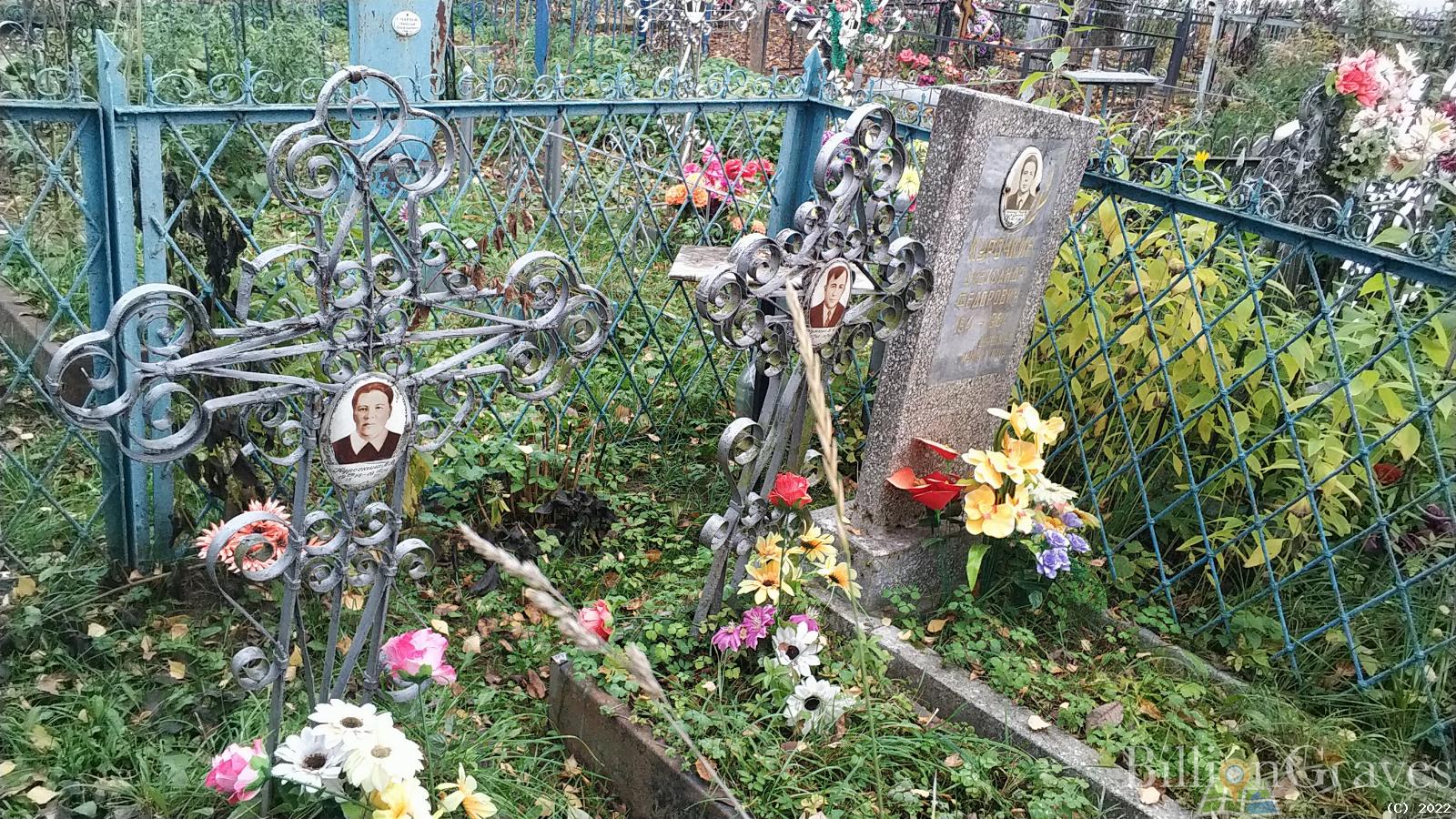 Курочкина Л. В.