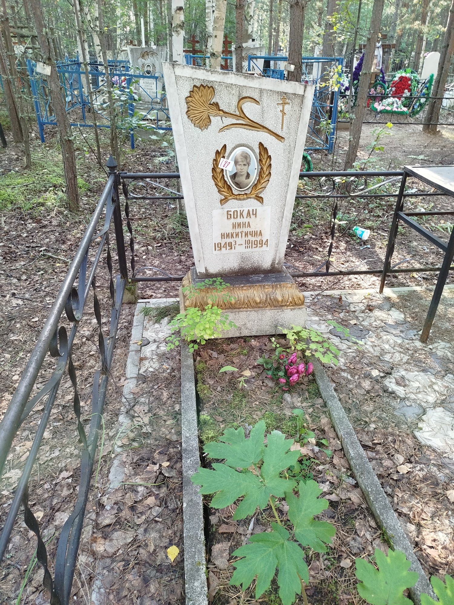 Бокач Нина Никитична