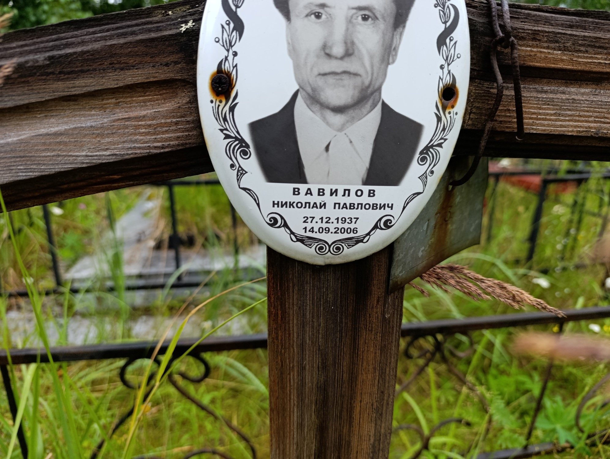 Вавилов Николай Павлович