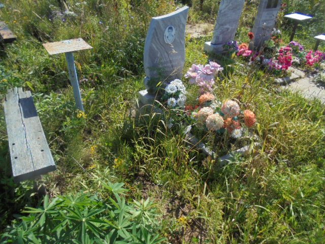 Николаев Дмитрий Владимирович
