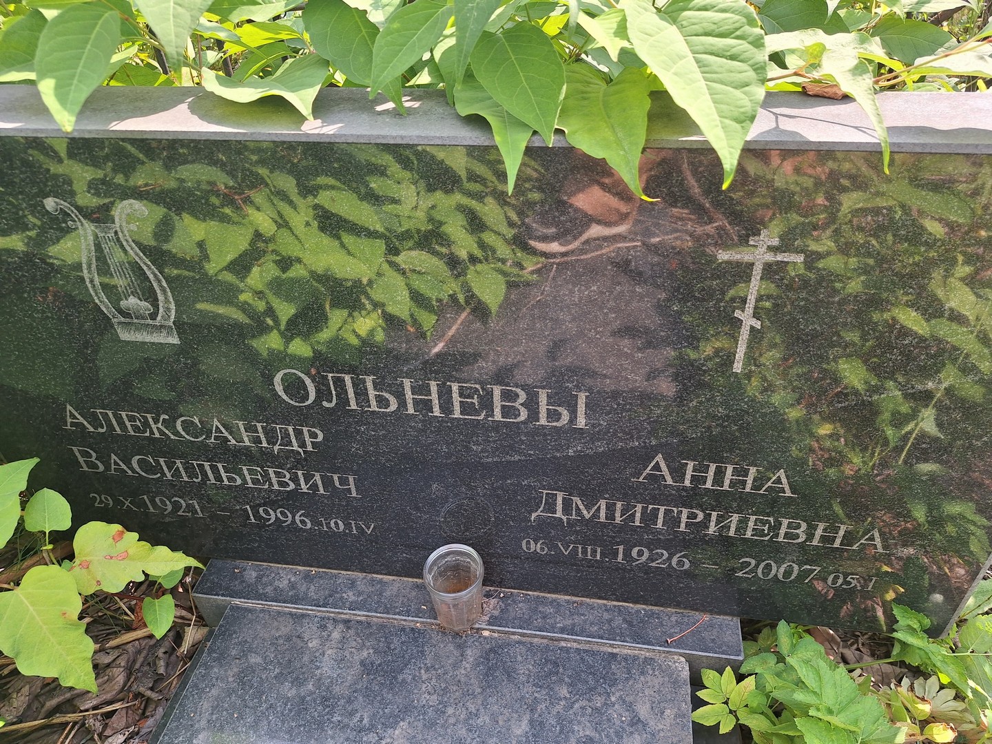 Ольнев