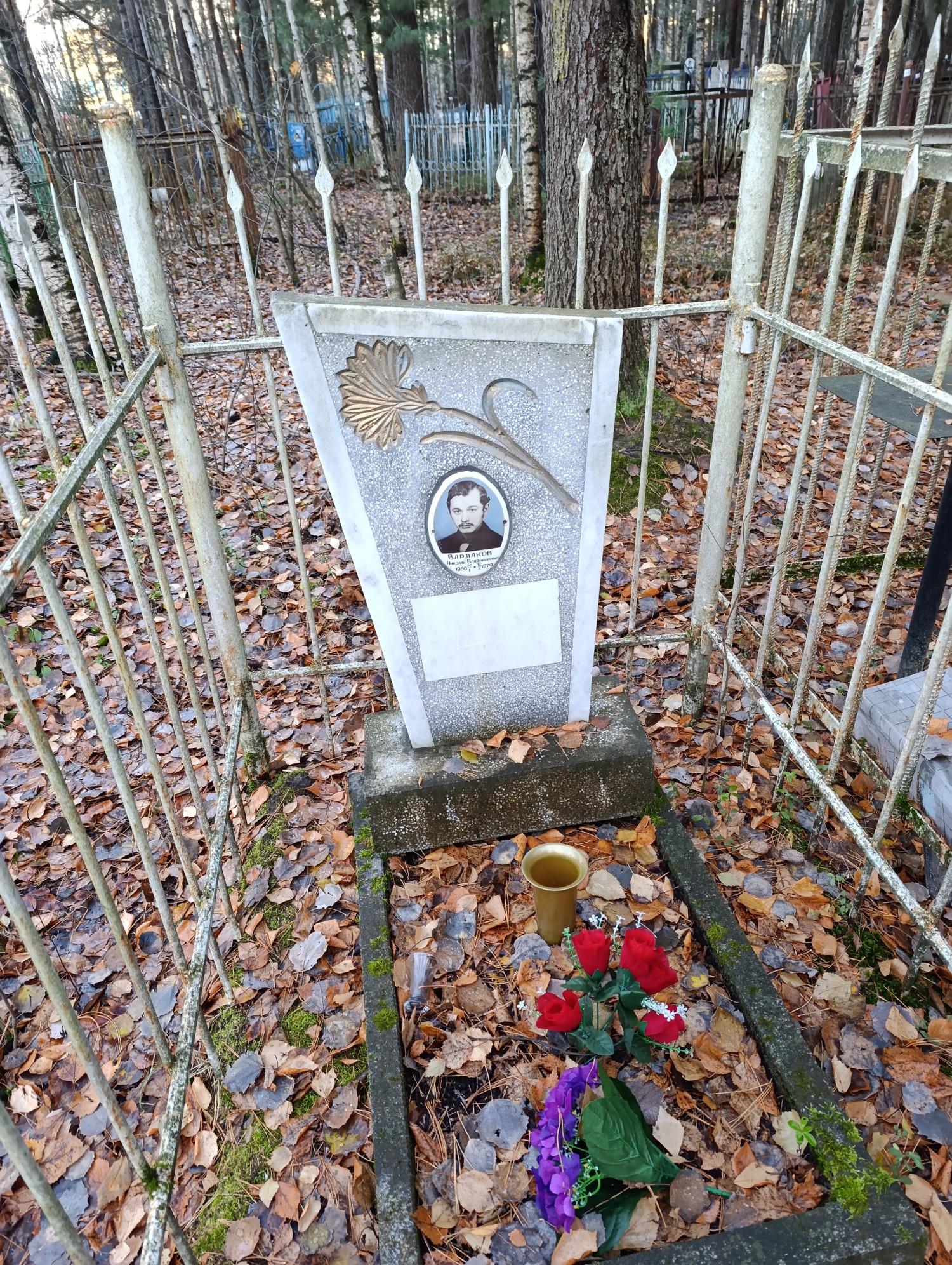 Варлаков Николай Владимирович