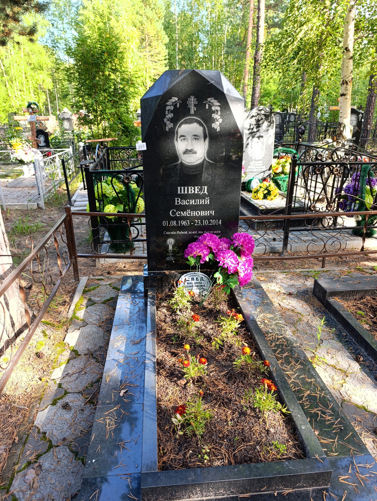 Швед Василий Семёнович