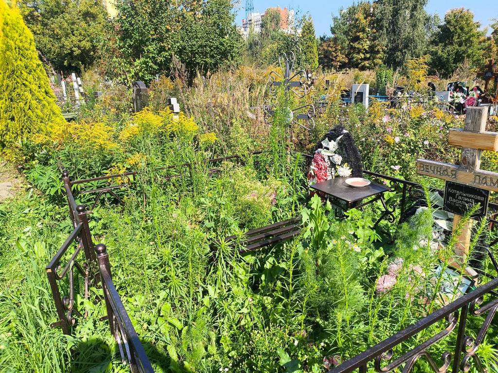 Демарева Клавдия Григорьевна