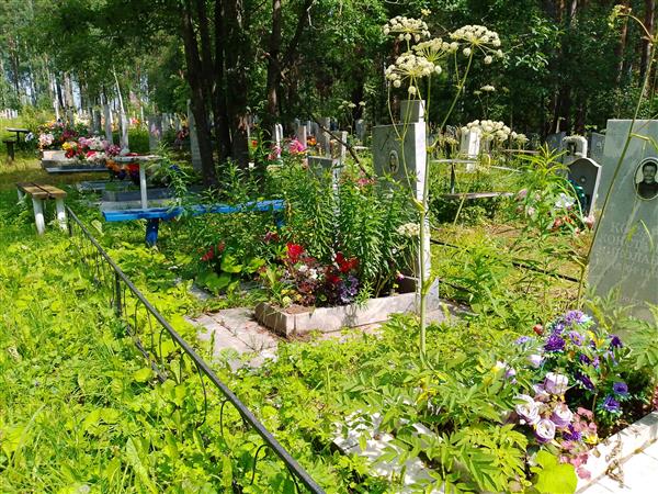 Косарева Ефимья Михайловна