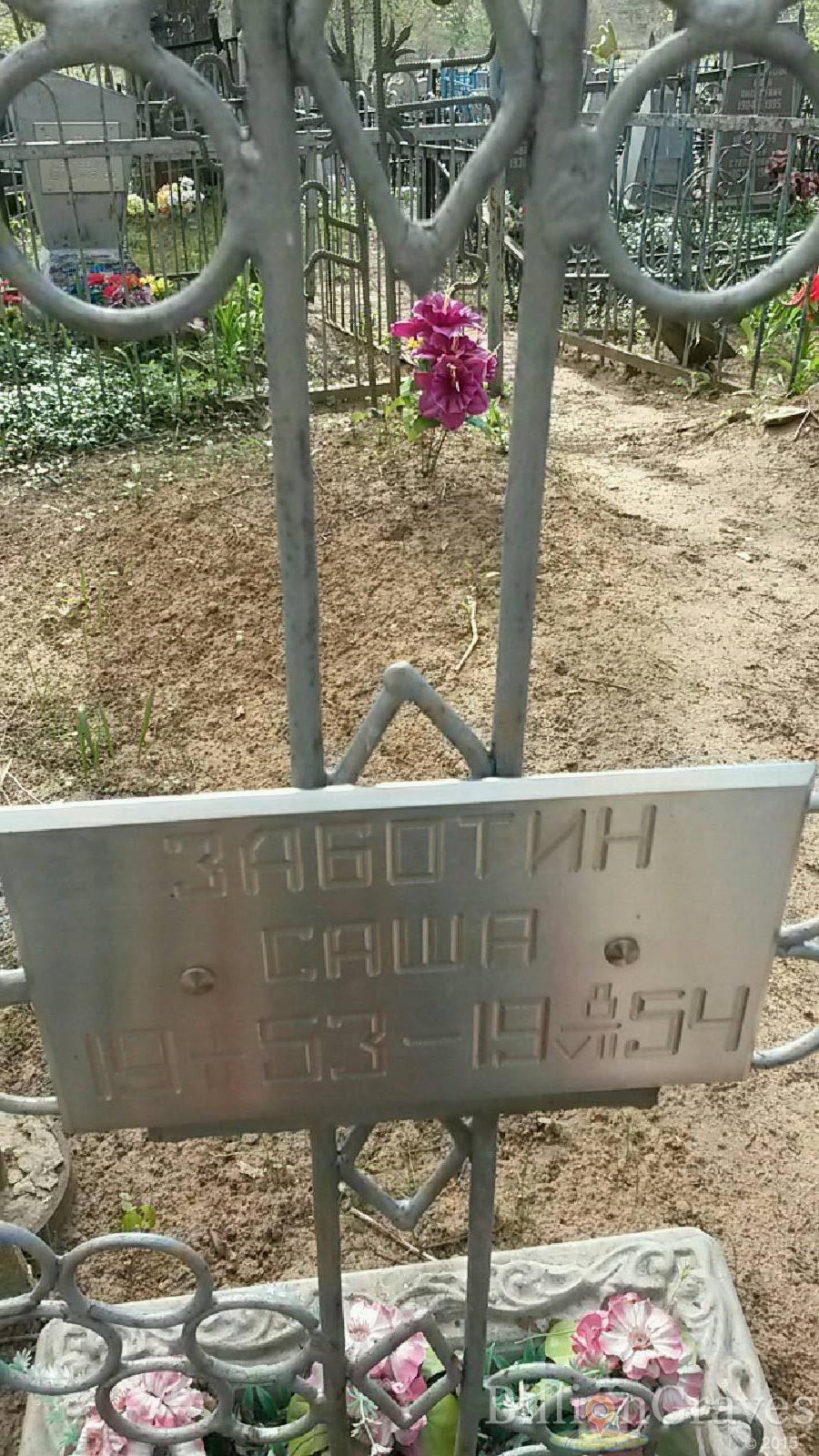 Заботин Александр Саша
