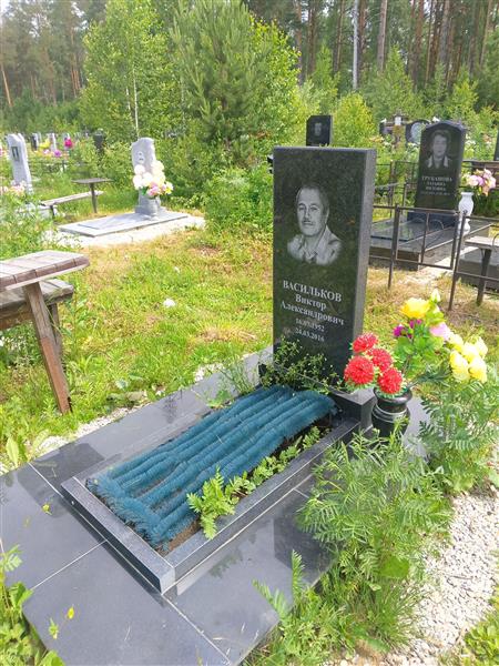 Васильков Виктор Александрович