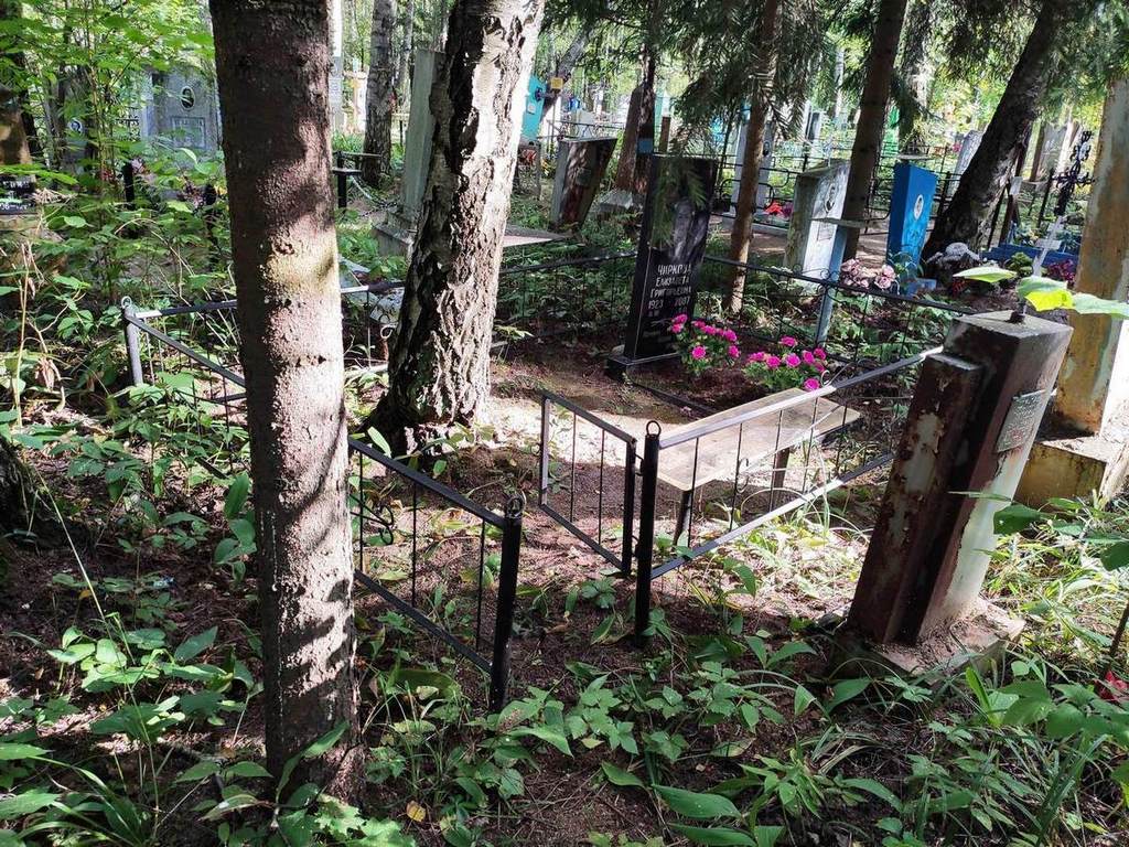 Чиркова Елизавета Григорьевна