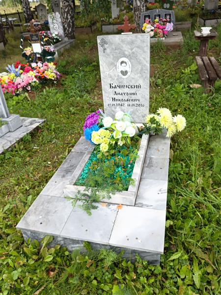 Бачинский Анатолий Николаевич