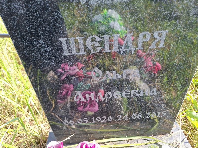Шендря