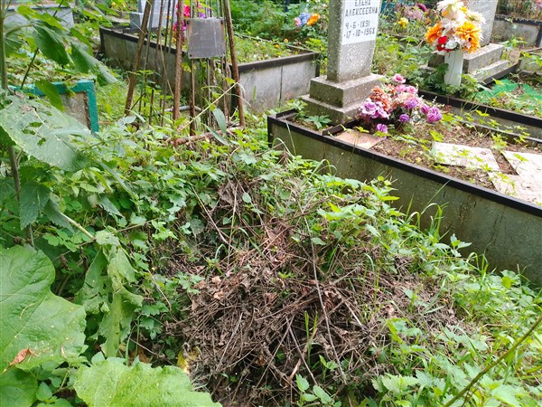 Срягунов Пётр Алексеевич
