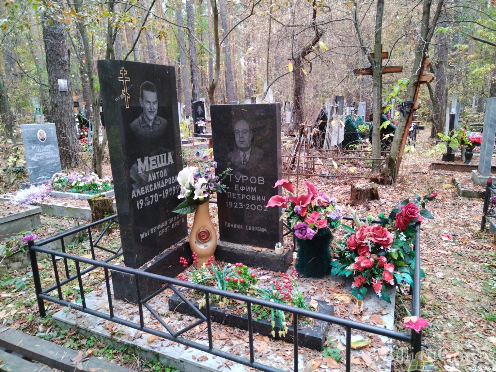 Меша Антон Александрович
