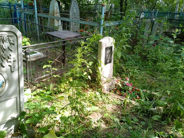 Аболь Екатерина