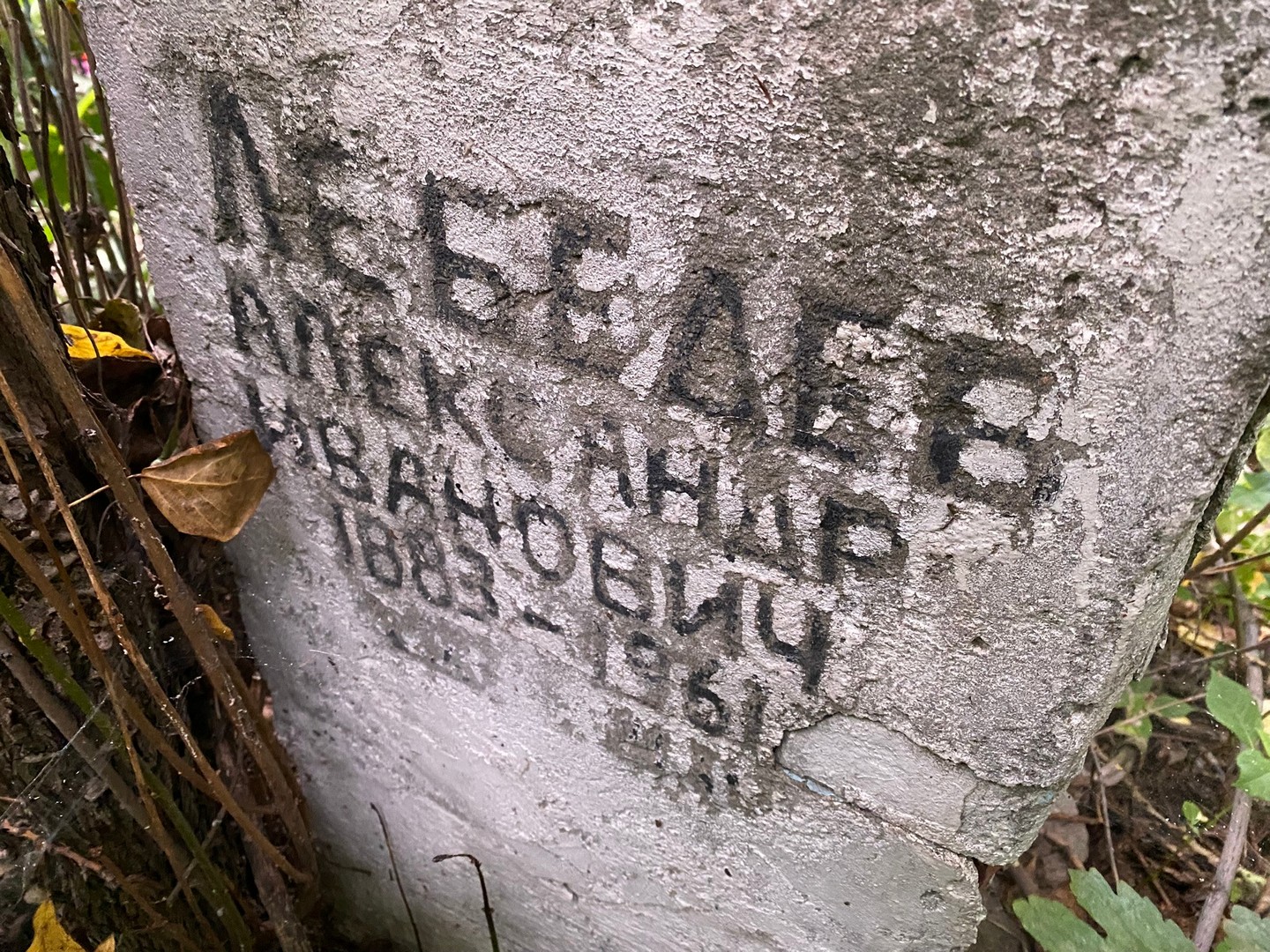 Лебедев