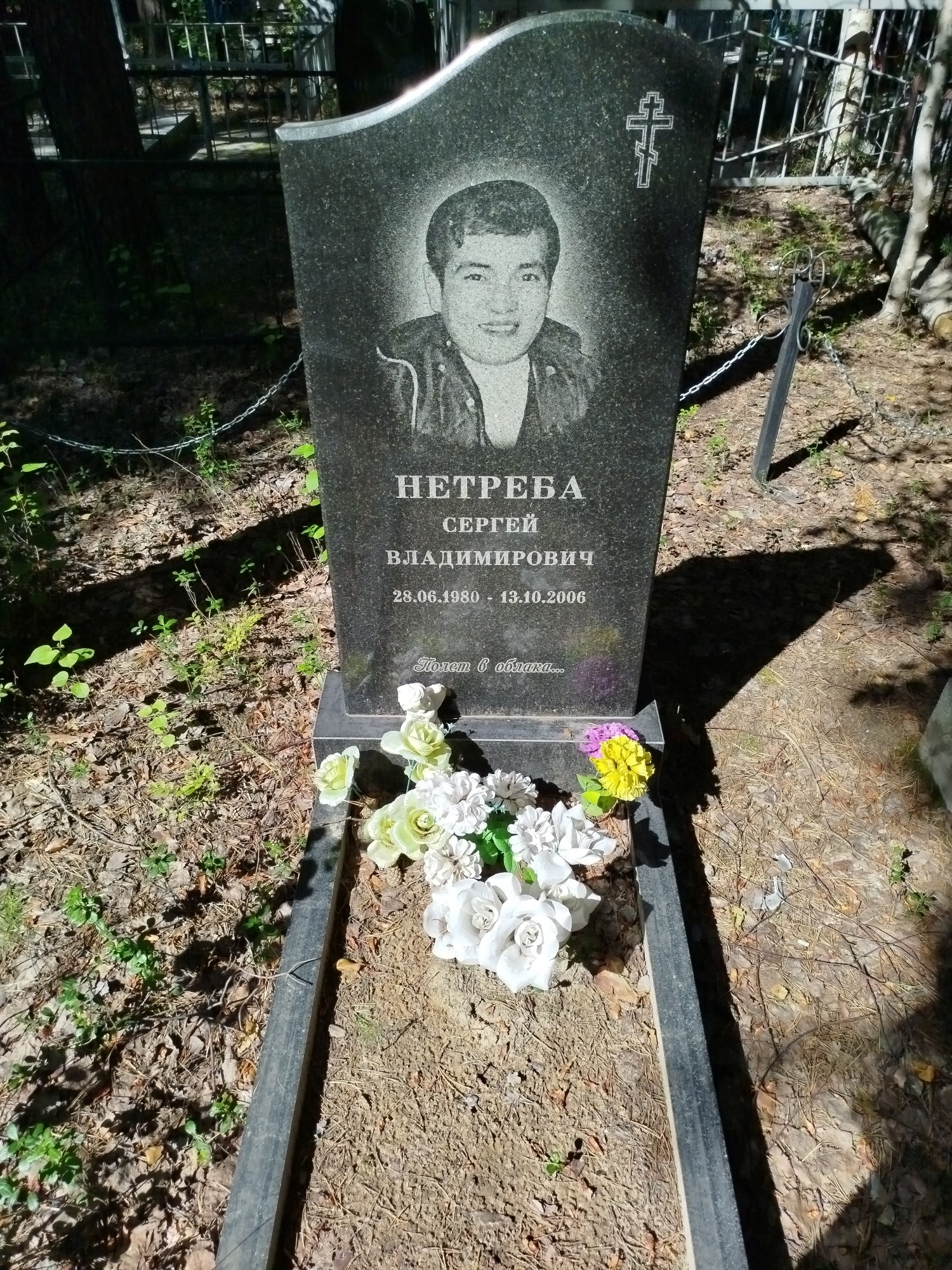 Нетреба Сергей Владимирович