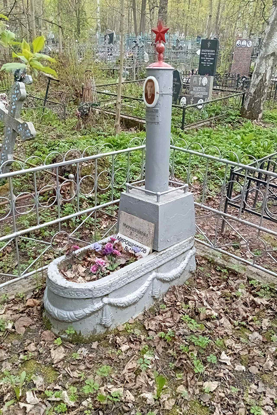 Мирошников В. М.