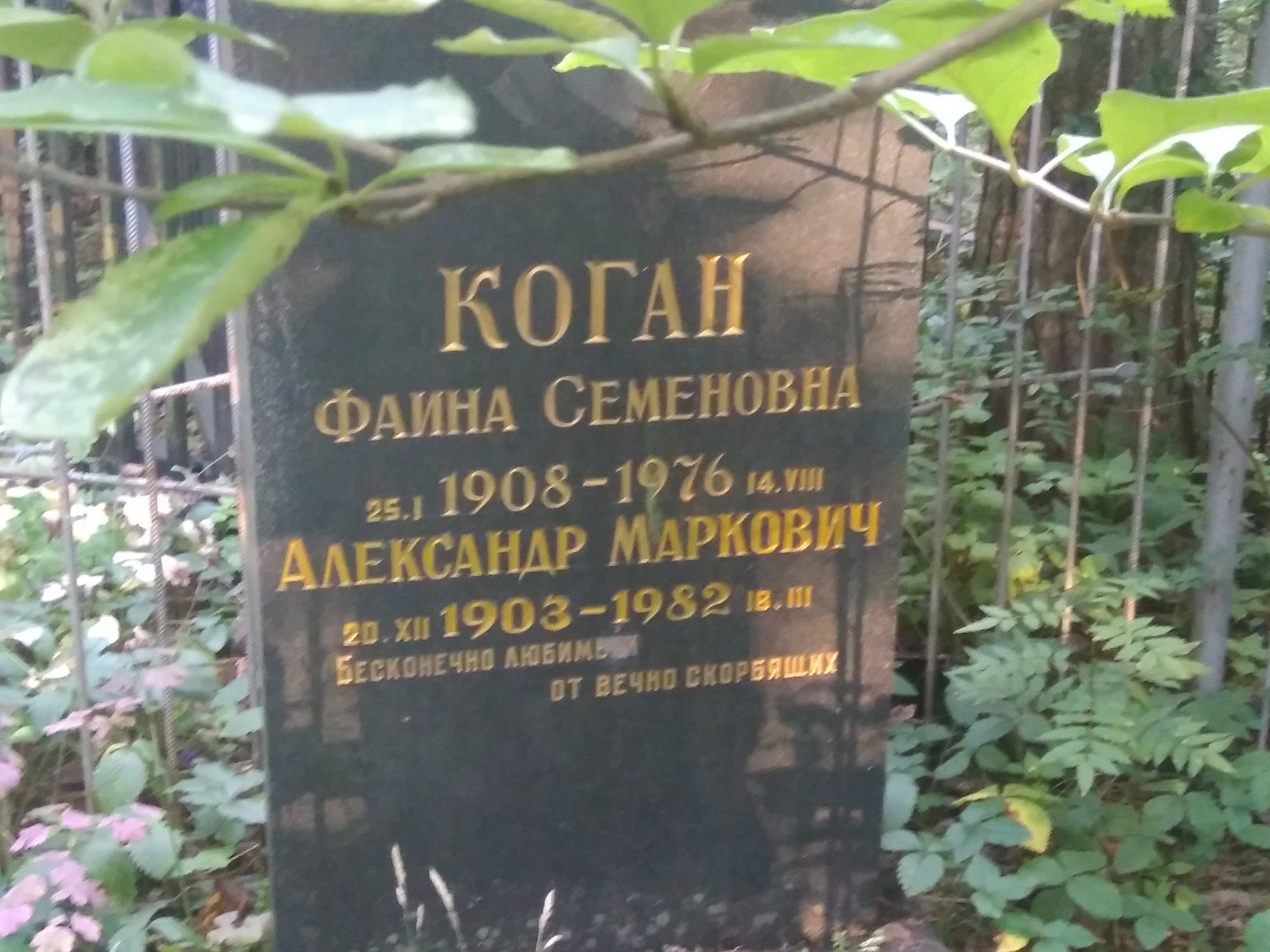 Коган Александр Маркович