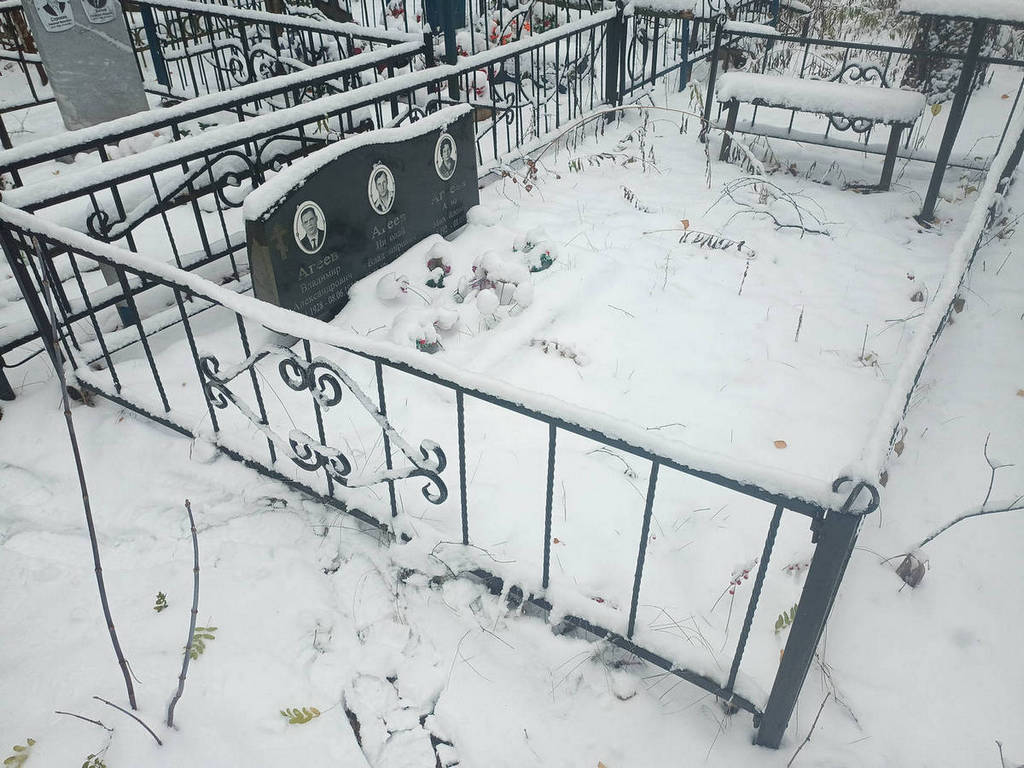 Агеев Николай Владимирович