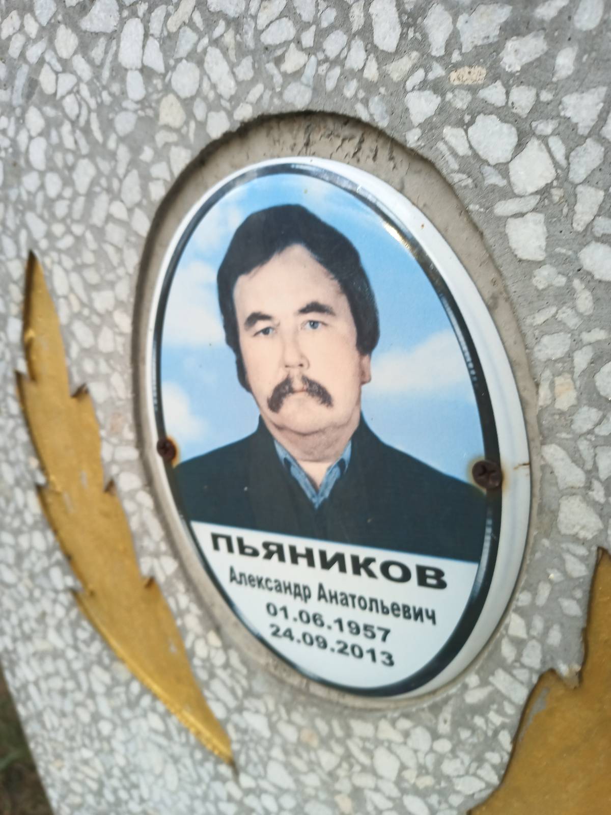Пьяников Александр Анатольевич