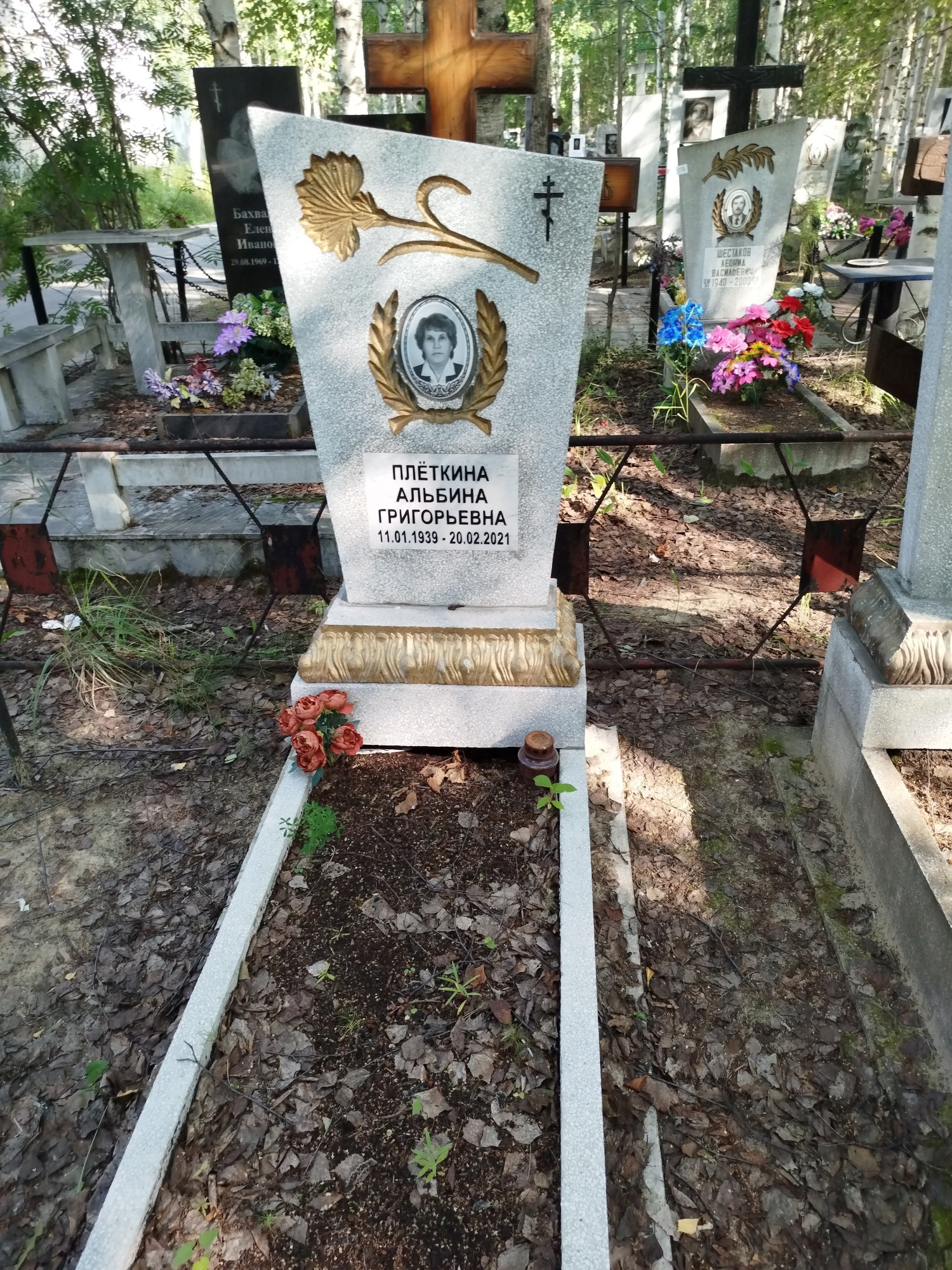 Плёткина Альбина Григорьевна