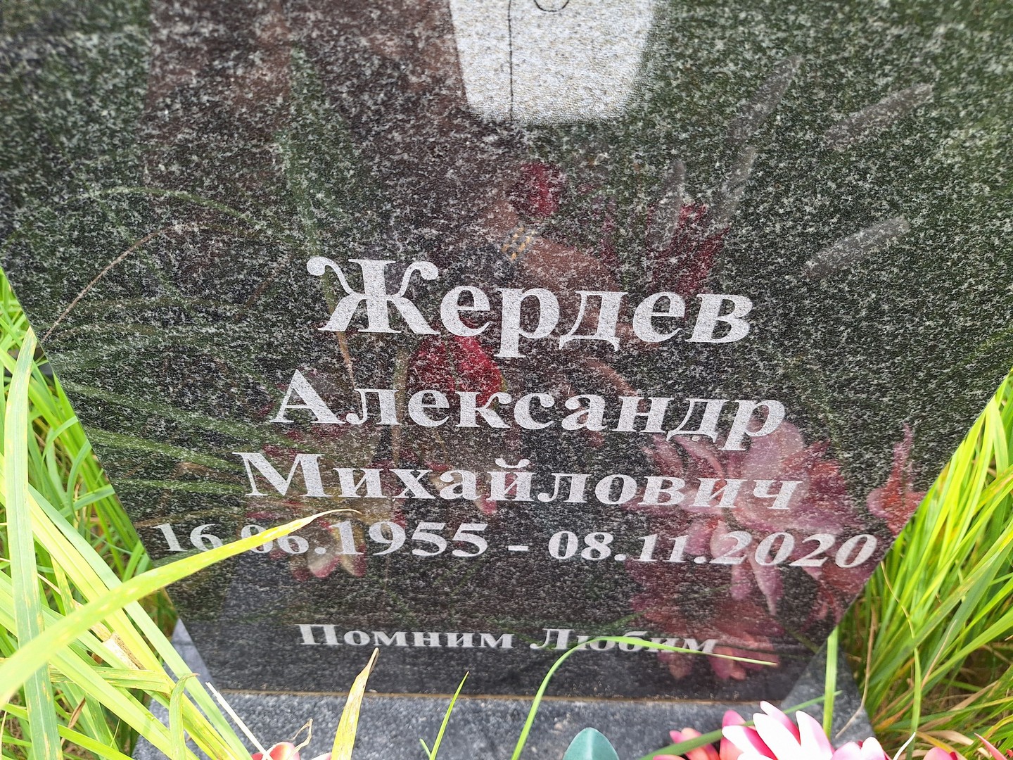 Жердев